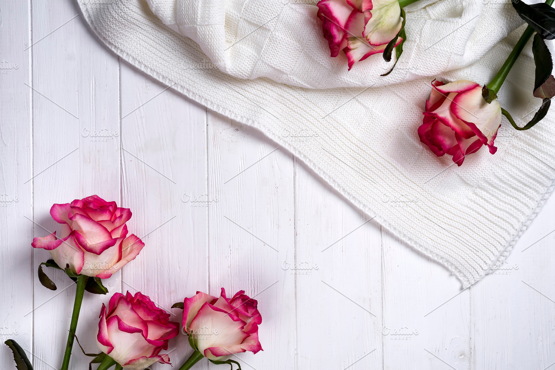Roses frame with plaid on wooden white background stock photo containing rose, a Nature Photo by YuMyart