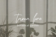 Biyenka - Handwritten Signature, a Handwritten Font by tebaltipislab (Thumbnail 8 of 8)