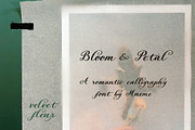 Velvet Fleur - Elegant Script Font, a Script Font by Mneme (Thumbnail 8 of 11)