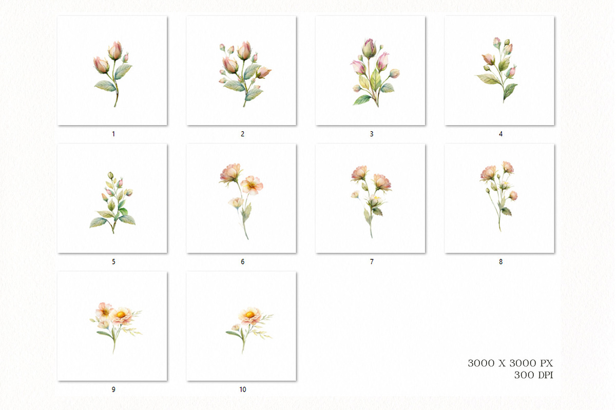 Spring Floral Nature Watercolor Set, a Decorative Illustration by NatalieArtsDenysenko (Photo 3 of 11)