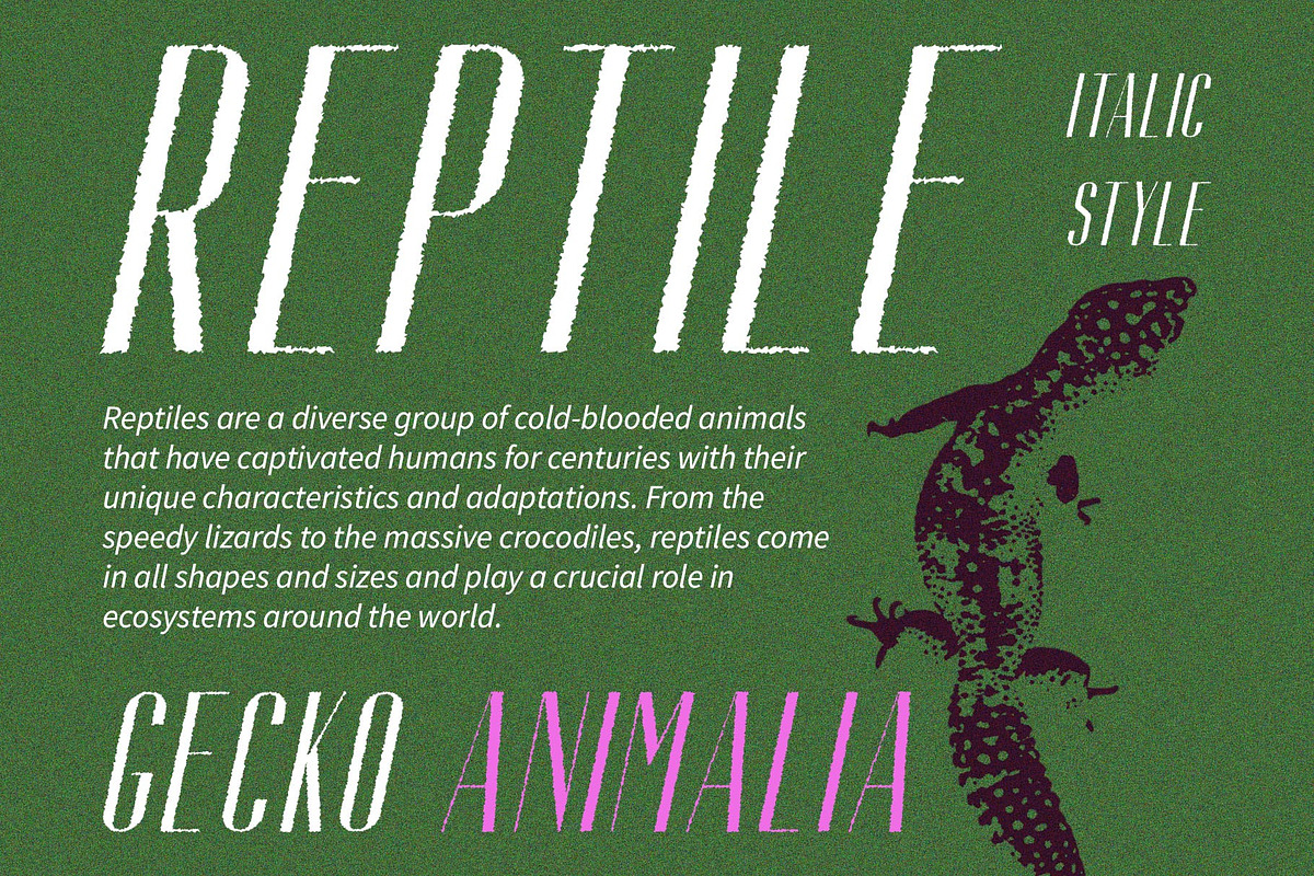 Aguero Sans Rough, a Sans Serif Font by Craft Supply Co. (Photo 6 of 8)