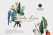 COSTA RICA — jungle animals, an Animal Illustration by Lana Elanor (Thumbnail 1 of 11)