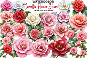 Camellia Flower Bloom PNG Clipart, an Illustration by DreamArtGraphic (Thumbnail 1 of 5)
