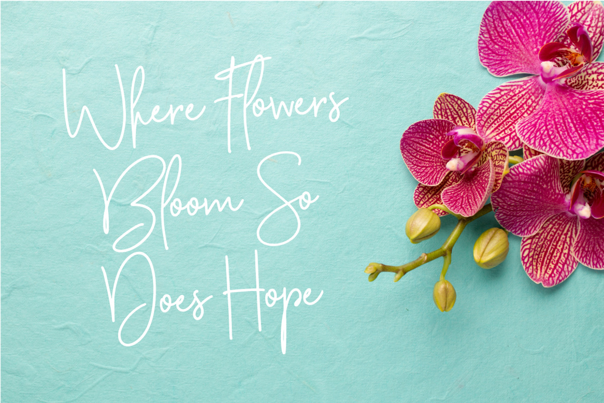 Rosefield Typeface preview 8