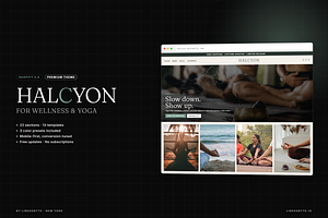 Halcyon Shopify Theme, a Shopify Template by Ibnul Jaif Farabi