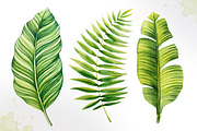 Tropical leaves. Watercolor vector., an Illustration by AlexGreenArt (Thumbnail 2 of 5)