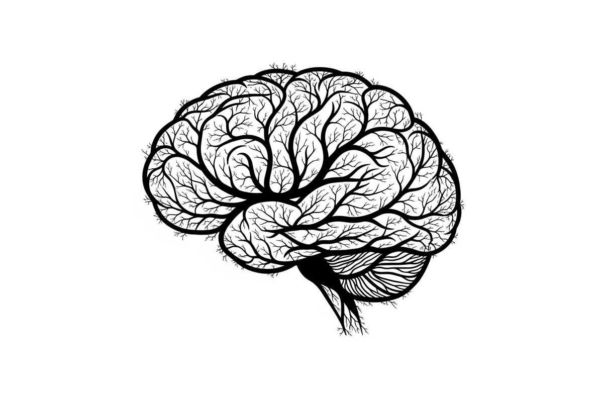Brain Tree Knowledge Design Bundle, an Illustration by Gaye Art (Photo 11 of 31)