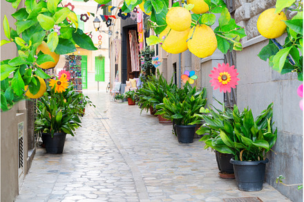 old town of Soller, Majorca, an Architecture Photo by Neirfy