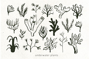 INKED SEALIFE hand drawn vector set, an Animal Illustration by Lena Nikolaeva (Thumbnail 6 of 11)