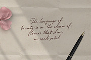 Aviola Memories - Romantic Script, a Script Font by Letterhend Studio (Thumbnail 3 of 9)