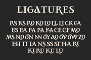 Rollions - Display Serif Font, a Serif Font by Zarma Type (Thumbnail 11 of 12)