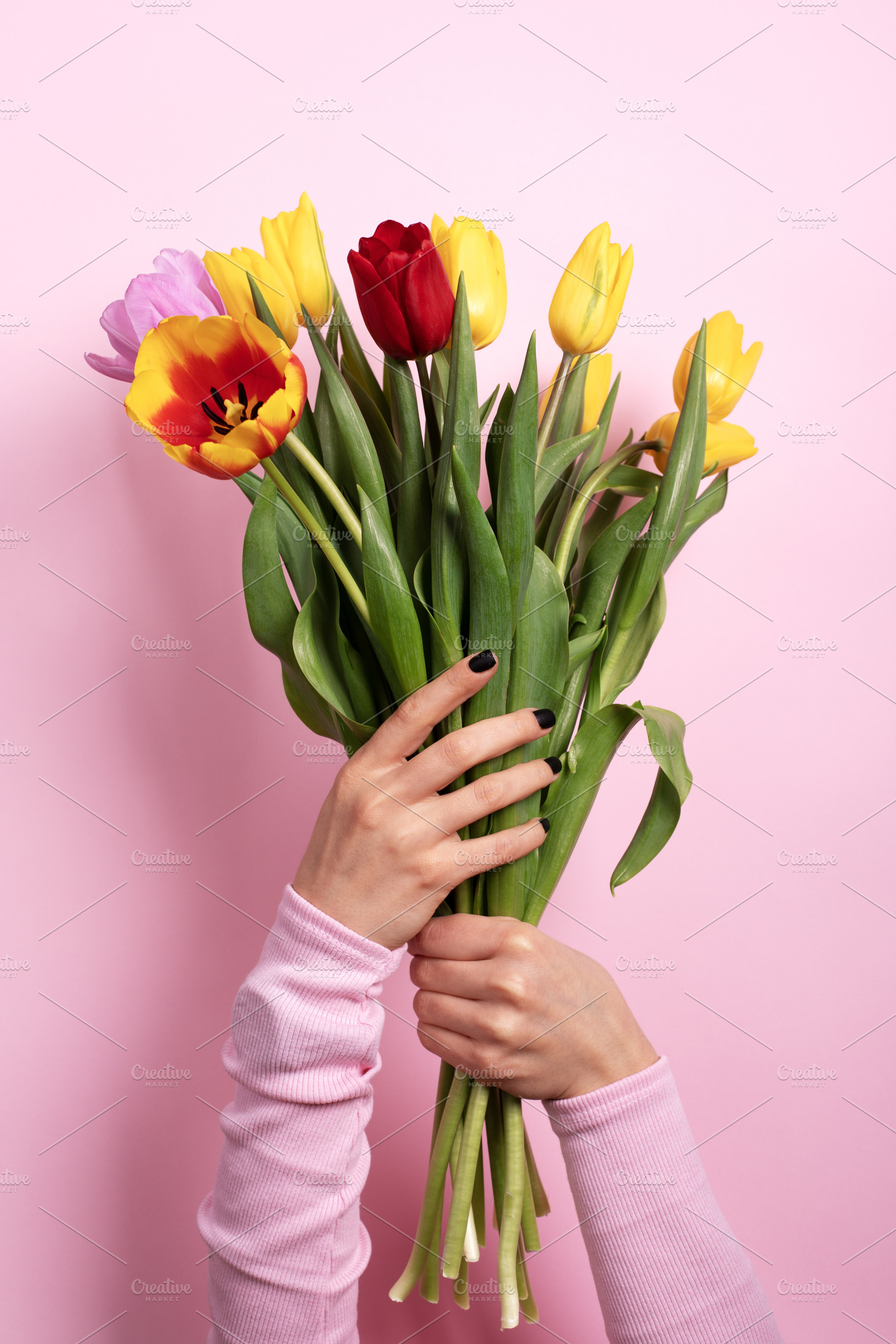 Hands holding a vibrant bouquet of colorful tulips against a pas, a Holiday Photo by Ales Munt