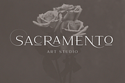 Enigma, a Serif Font by Larin Type Co. (Thumbnail 3 of 16)