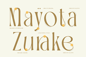 TBJ Palatino Stylish Serif Font