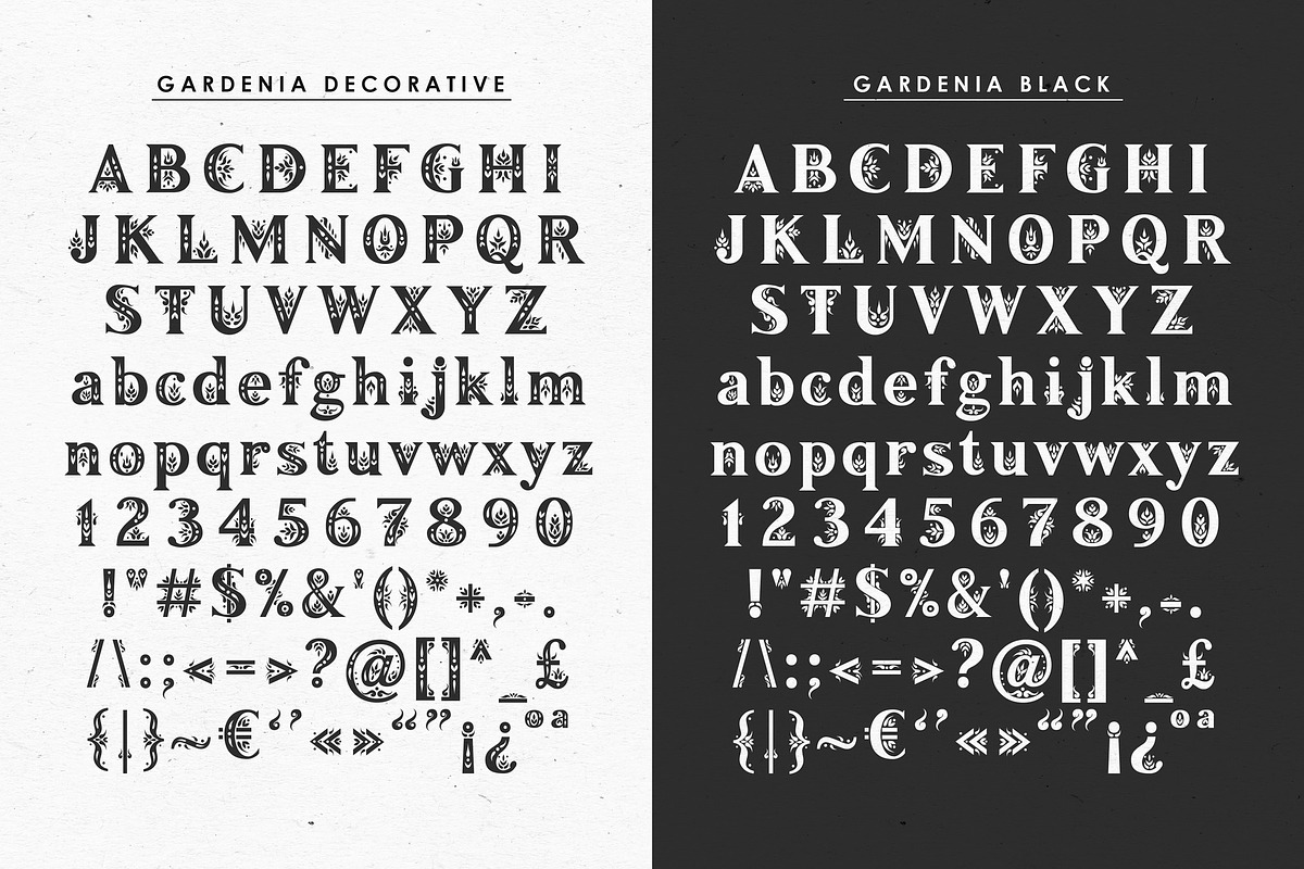 Gardenia - Serif Font Family preview 3