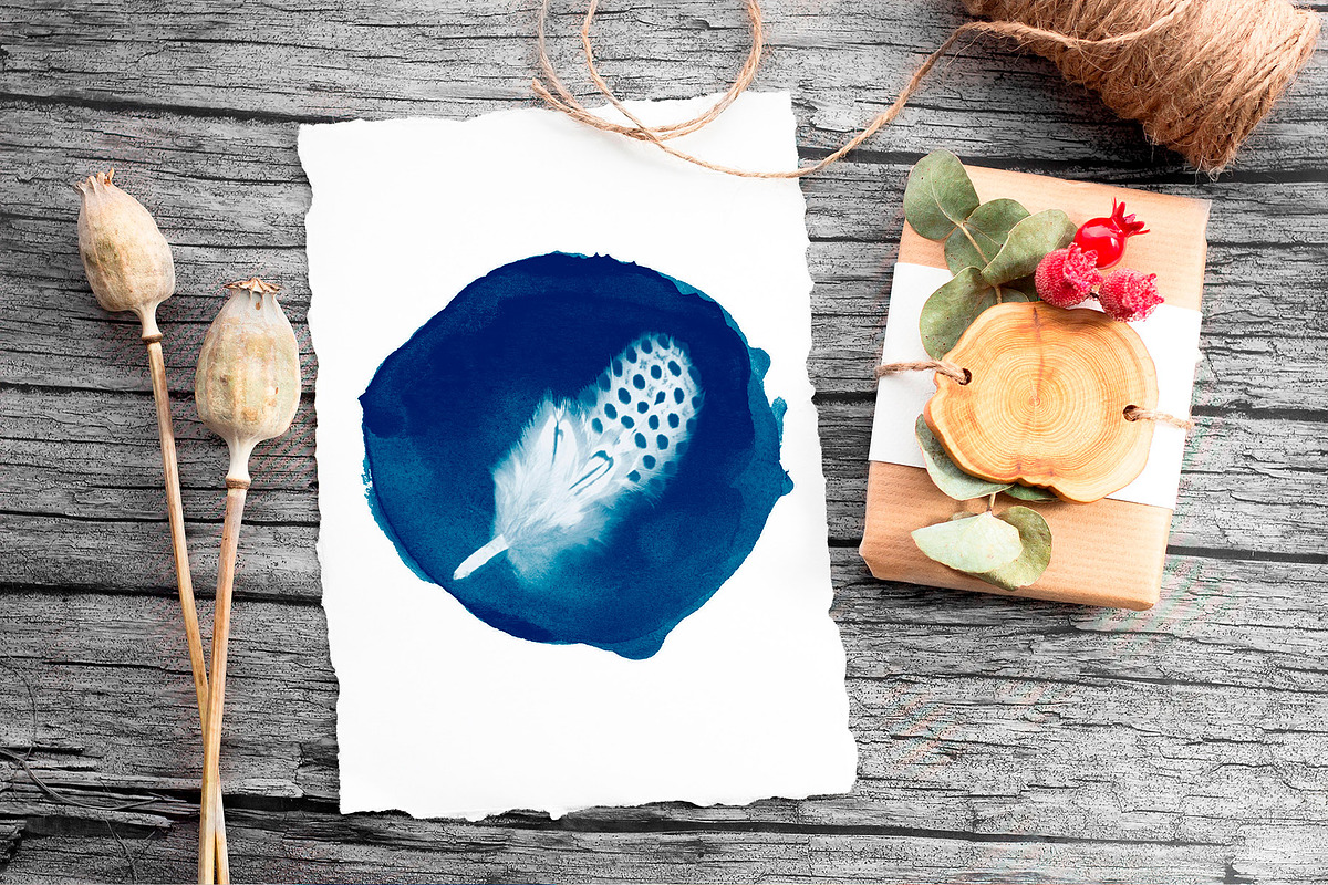 CYANOTYPE Digital Photoshop Effect, a Plug-in Add-On by PhotoSpirit (Photo 10 of 11)