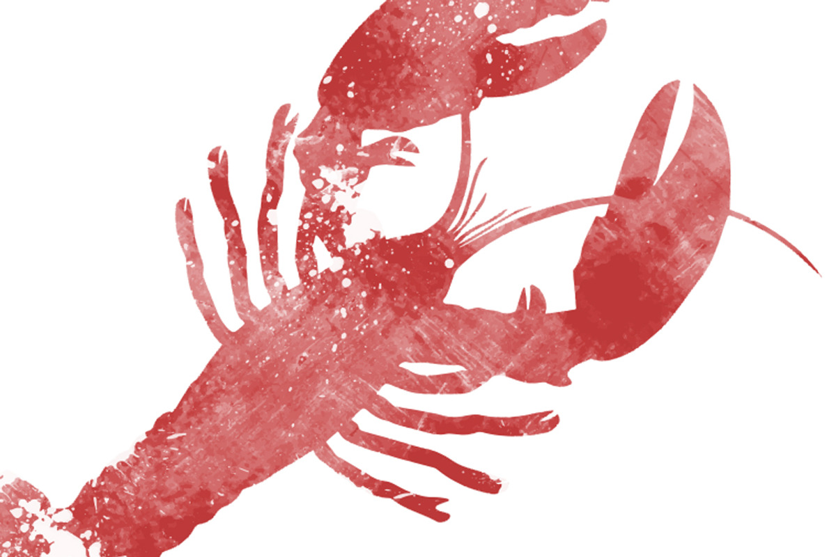 Lobster Illustration, an Animal Illustration by Digital Art Downloads (Photo 1 of 2)