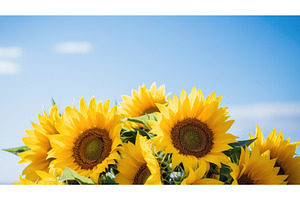 nature bouquet flower background ai, a Nature Photo by pikepicture