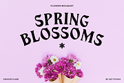 Groove Flare - Display Groovy Font, a Serif Font by Get Studio (Thumbnail 11 of 11)