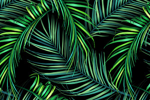 Jungle palm leaves. Tropical pattern