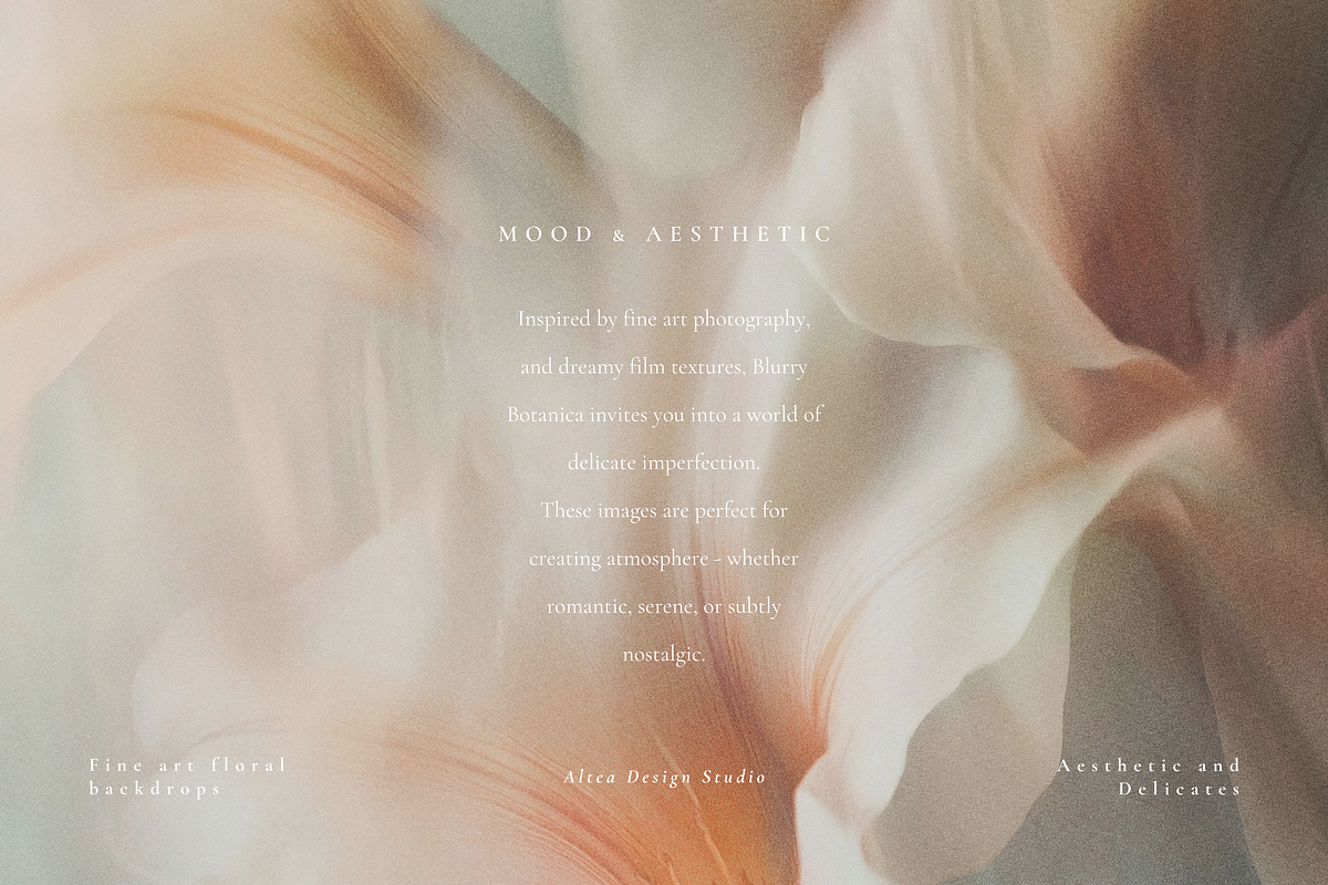 Aesthetic Blurry Floral Backgrounds, a Background Graphic by Altea Design Studio (Photo 4 of 14)