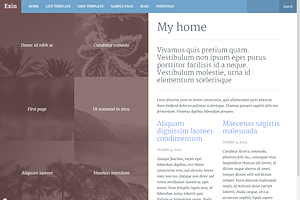 Exin WordPress Theme