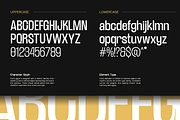 TRT Lancelot Condensed Font Family, a Sans Serif Font by truetype (Thumbnail 3 of 15)
