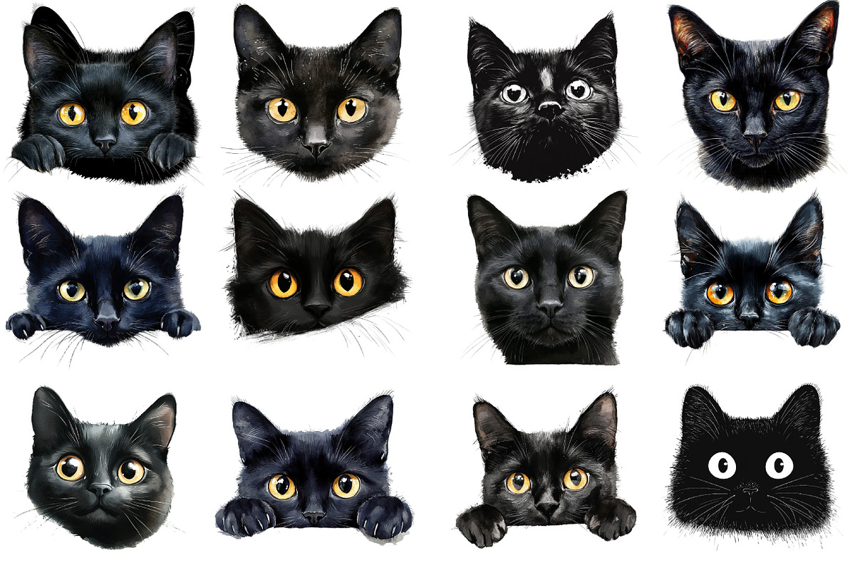 Black Cat Peeking PNG, an Illustration by SinaCreation (Photo 2 of 5)