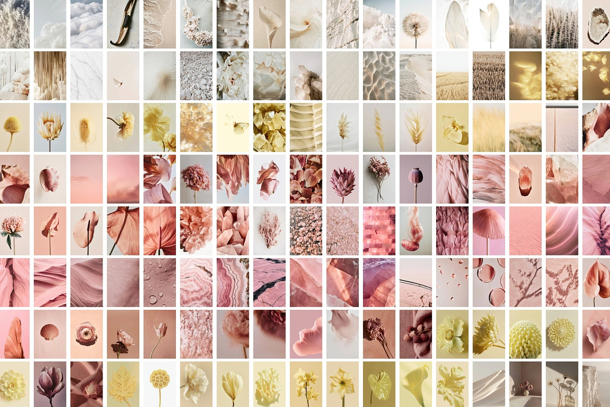 Soft Pastel Stock Photos Bundle 280, a Nature Photo by Tale.Haus (Photo 16 of 19)