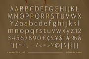 Sigmora - Modern Elegant Thin Sans, a Sans Serif Font by Typia Nesia (Thumbnail 11 of 11)