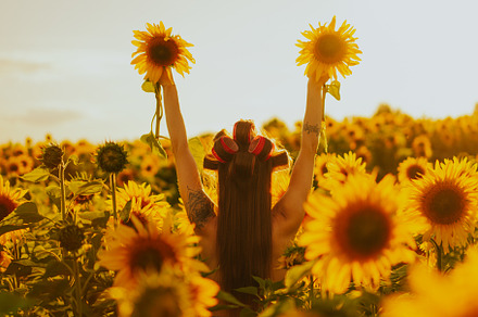 woman in a field of sunflowers