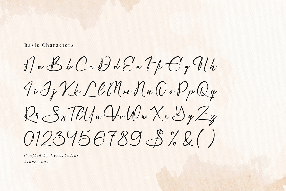 Gamlowfei | Elegant Signature, a Script Font by Denustudios (Photo 10 of 12)