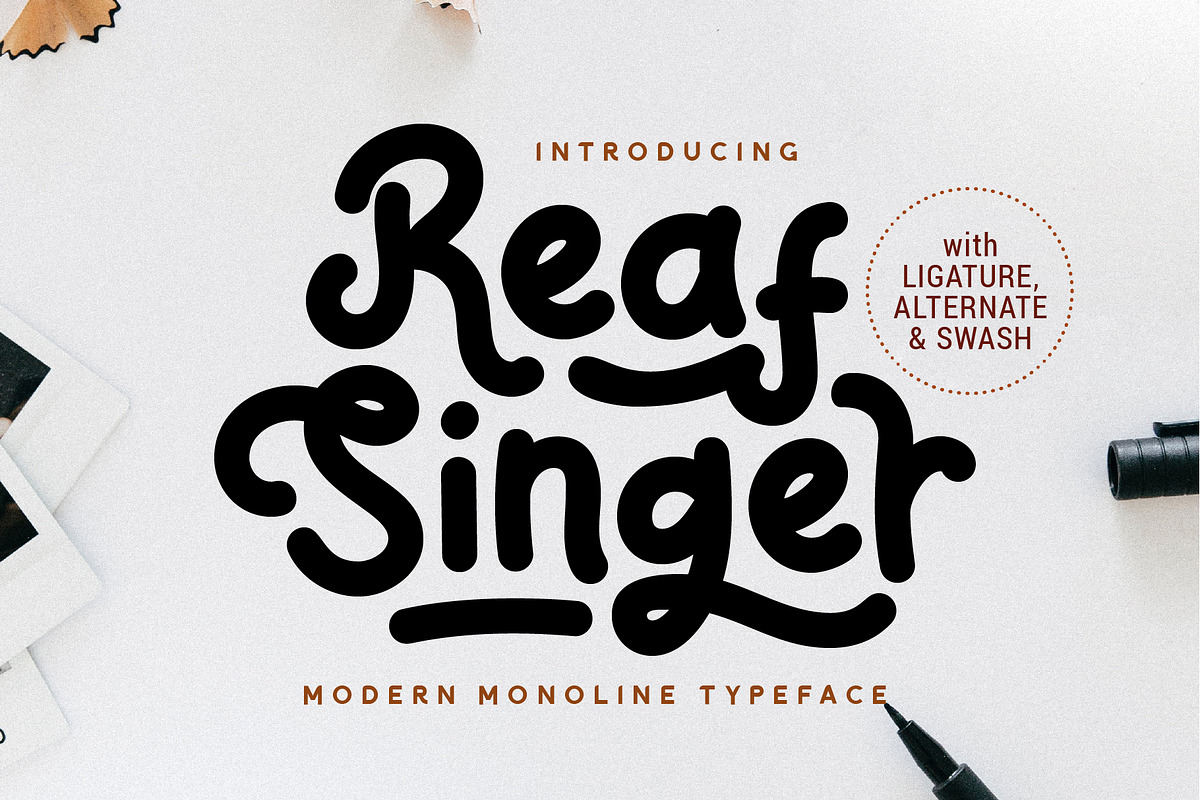 Reaf Singer Playful Font, a Script Font by Dicubit (Photo 1 of 9)