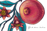 POMEGRANATE EDEN - patterns & motifs, a Decorative Illustration by Liiafis (Thumbnail 12 of 15)