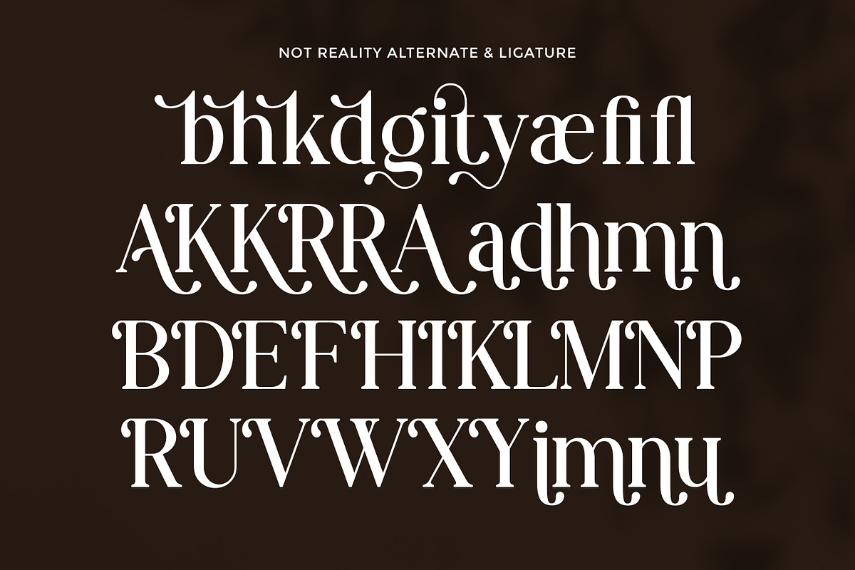 Not Reality - Retro Serif Font, a Serif Font by Flawless And Co (Photo 9 of 10)