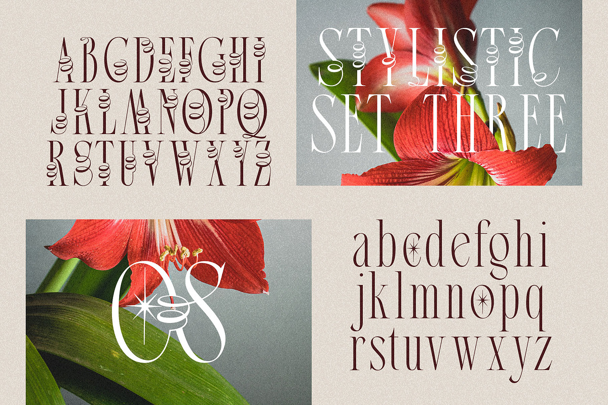 Broshock Typeface, a Serif Font by alit design (Photo 17 of 20)