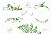 Fern Land. Watercolor Collection, an Illustration by OctopusArtis (Thumbnail 3 of 8)