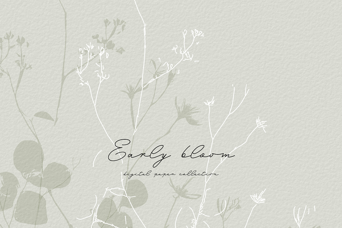 Botanical Background Collection, a Background Graphic by Anna Sokol (Photo 5 of 14)