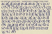 Shortened Connection - Elegant Font, a Serif Font by 177Studio (Thumbnail 8 of 8)