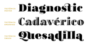 Tectónica, a Serif Font by Untype (Thumbnail 9 of 14)