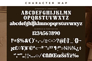 Midnight Gelactic Modern Retro Serif, a Serif Font by Letterena Studios (Thumbnail 13 of 15)