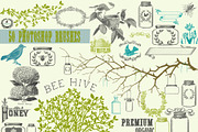 Certified Organic Clipart & Brushes, an Object Graphic by Le Paper Cafe (Thumbnail 3 of 5)
