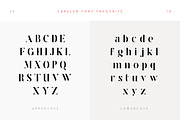 Lavagne Carlsen Type, a Serif Font by vuuuds (Thumbnail 4 of 9)