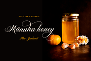 Diploma Script, a Script Font by Latinotype (Thumbnail 11 of 14)
