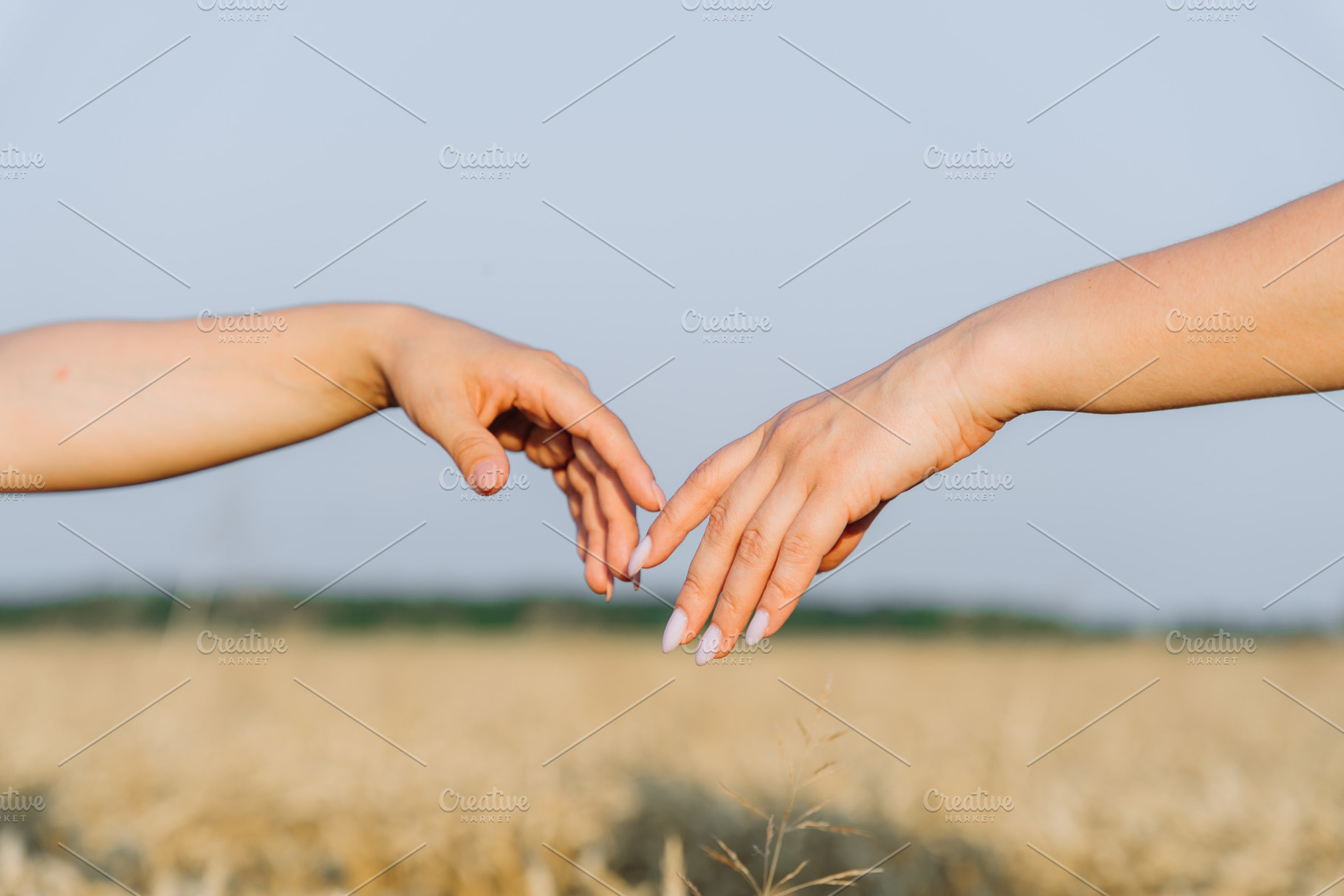 Two Hands Reaching for Each Other in Wheat Field, a Person Photo by Red Hot Chili Pepper Shop