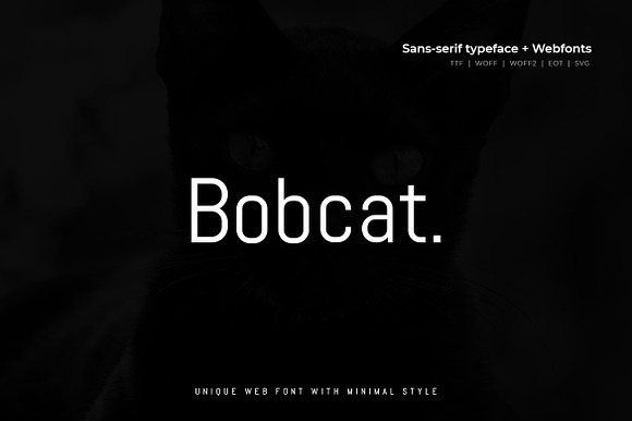 Bobcat - Modern Typeface + WebFont preview 3