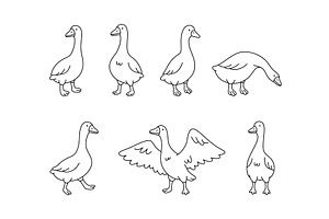 Set of cartoon geese in walking, an Animal Illustration by GraphiShop