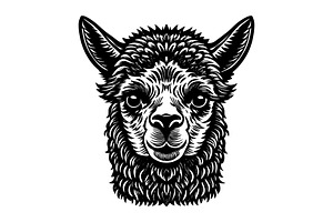 Alpaca, an Illustration by Mark1987