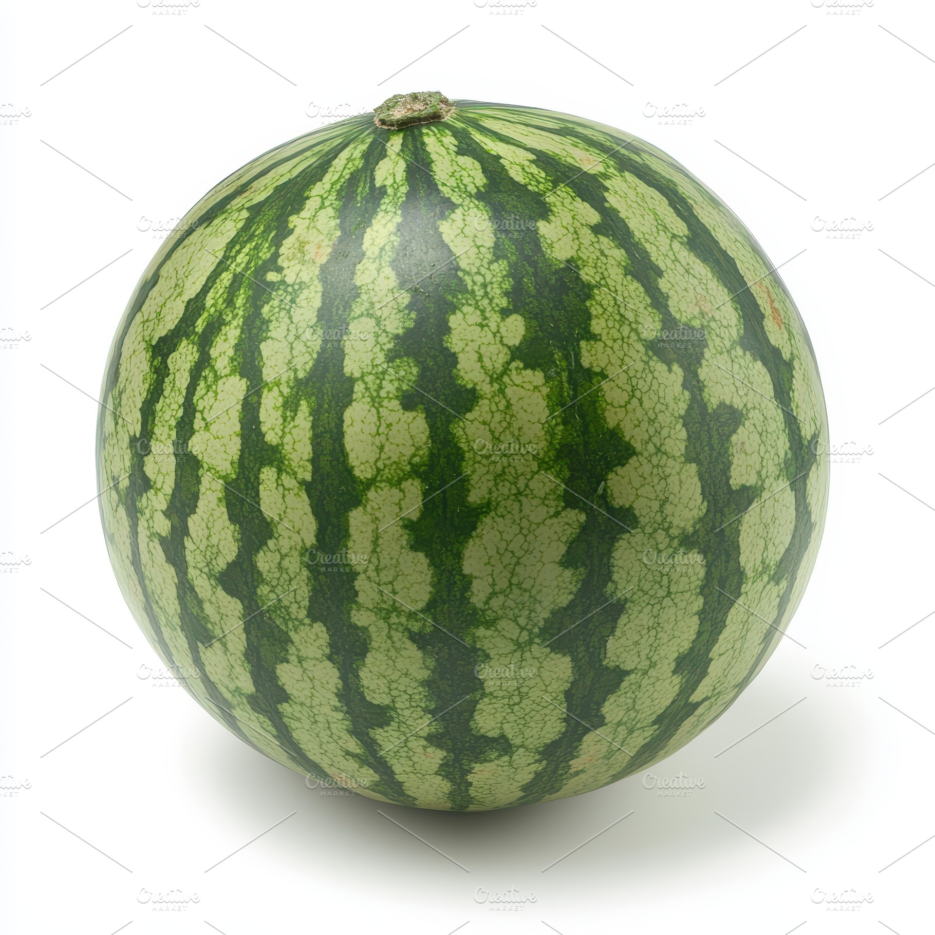 Whole green watermelon summer fruit, an Animal Photo by Pixeness Studio