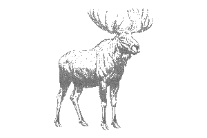 Vintage Moose Stipple Engraving, an Animal Illustration by MkStudio